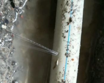 沙洋卫生间测漏水多少钱