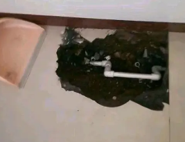 沙洋卫生间测漏水多少钱